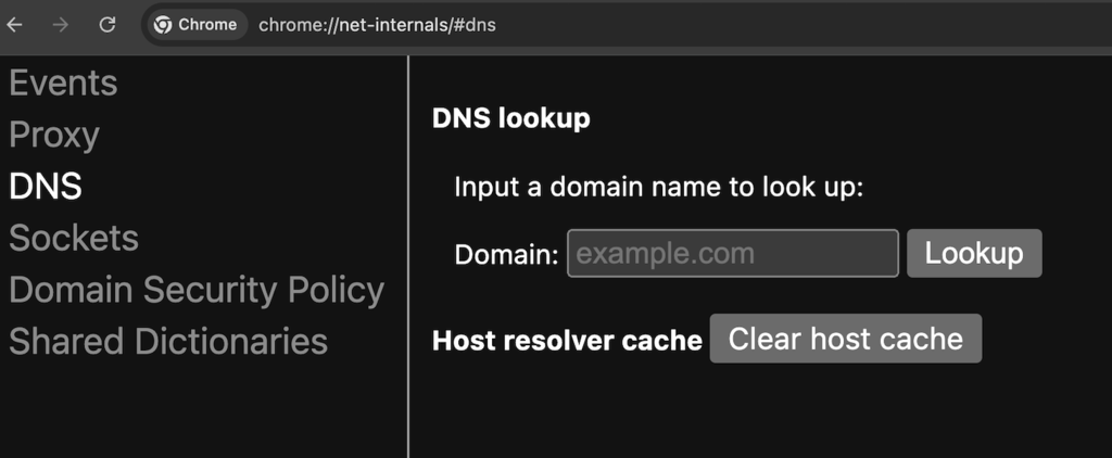 Página de DNS de Google Chrome