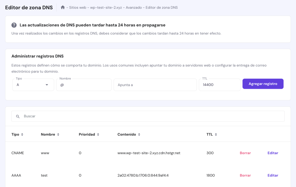 Editor de zona DNS de hPanel