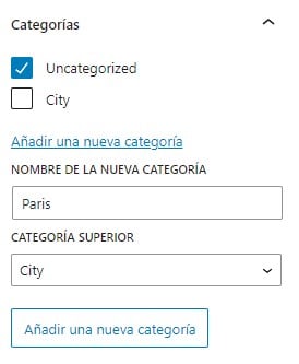 Visualización de la opción para añadir una nueva categoría en el editor visual