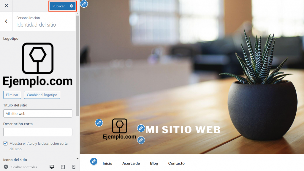 Opción Publicar del Personalizador de WordPress