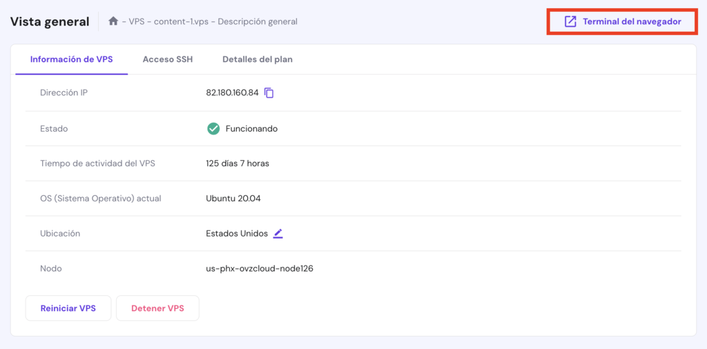 Botón Terminal del navegador de hPanel