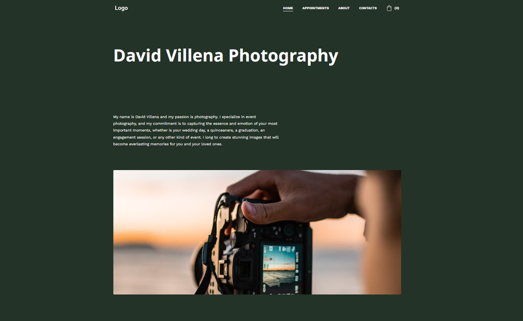 Página de inicio de David Villena Photography