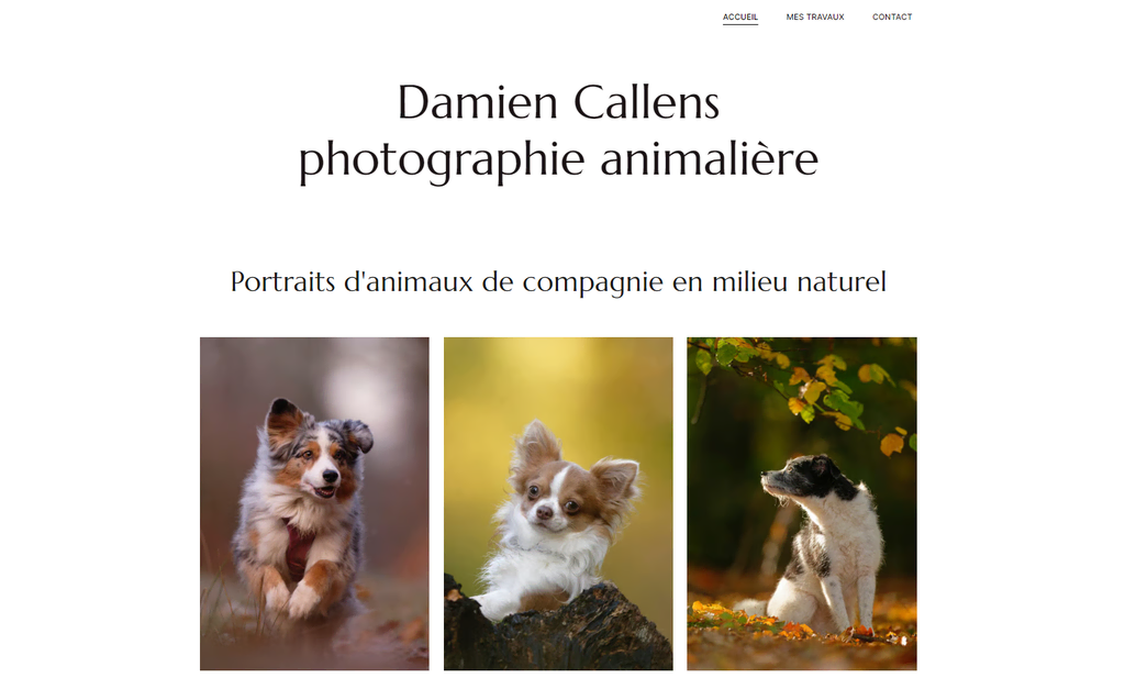Página de inicio de Damien Callens Photographie