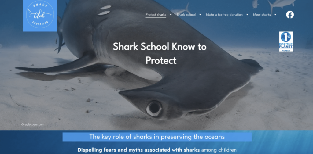 Sitio web de Shark Education Club