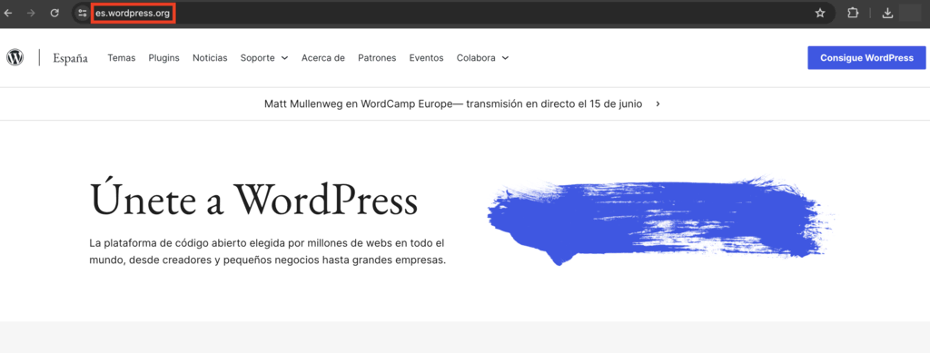 Sitio web de WordPress