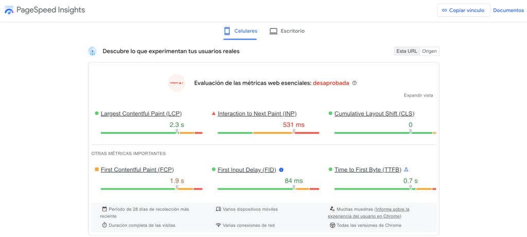 Informe de PageSpeed Insights