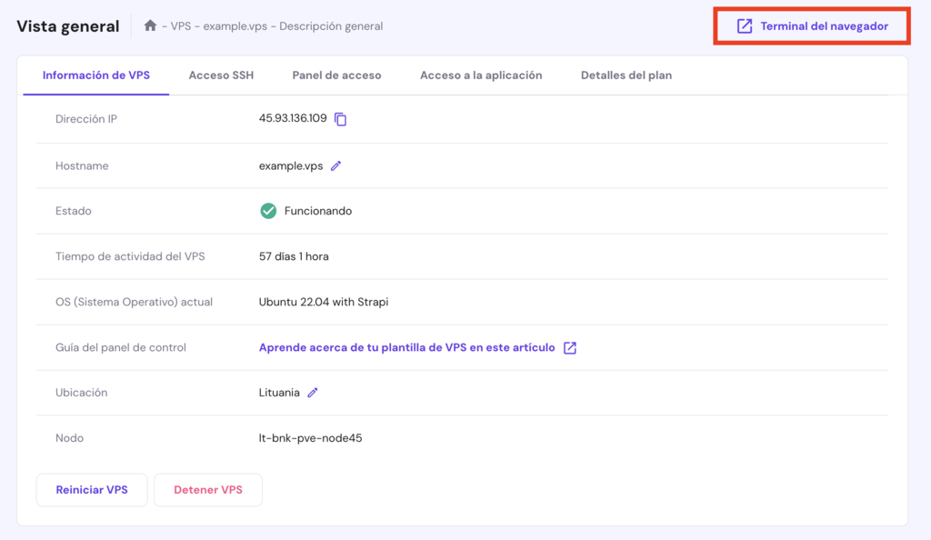 Vista general de VPS en hPanel