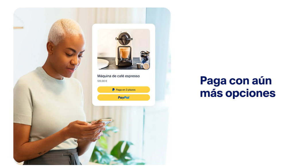 Sitio web de PayPal