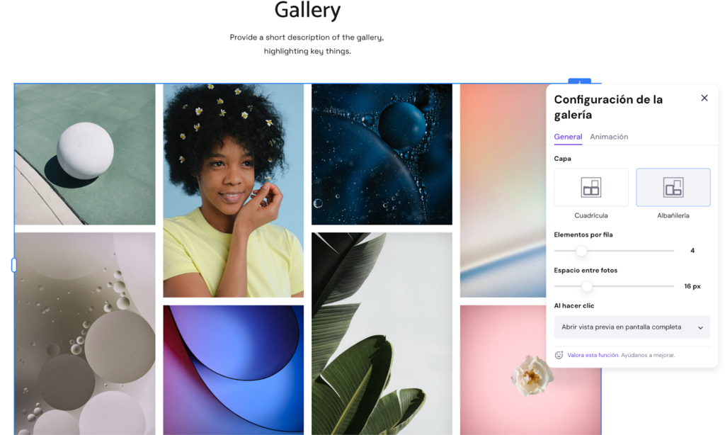 Ajustes de galería en el Creador de sitios web de Hostinger