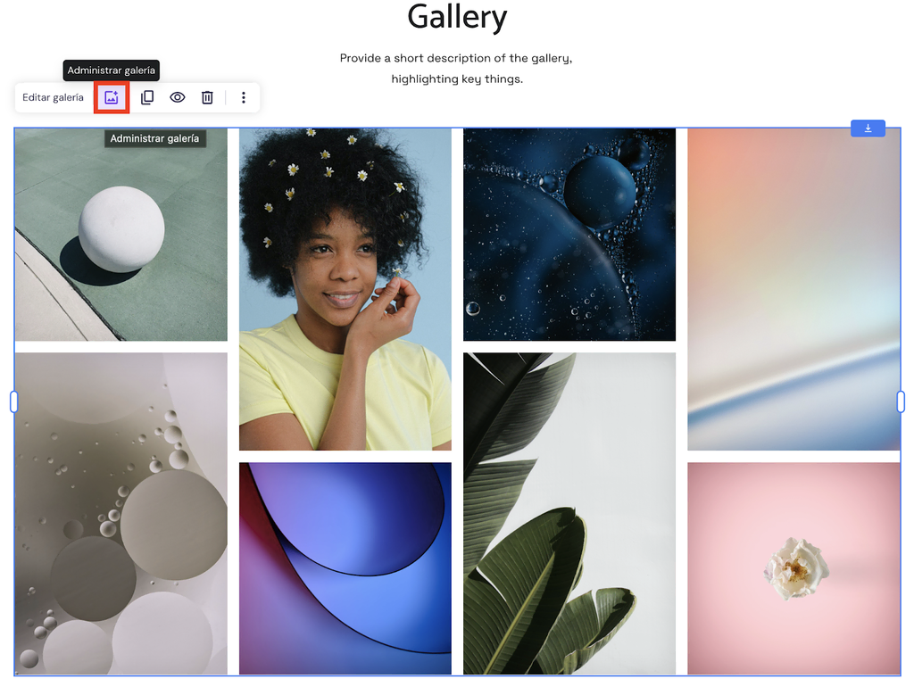 Administrar galería en el Creador de sitios web de Hostinger