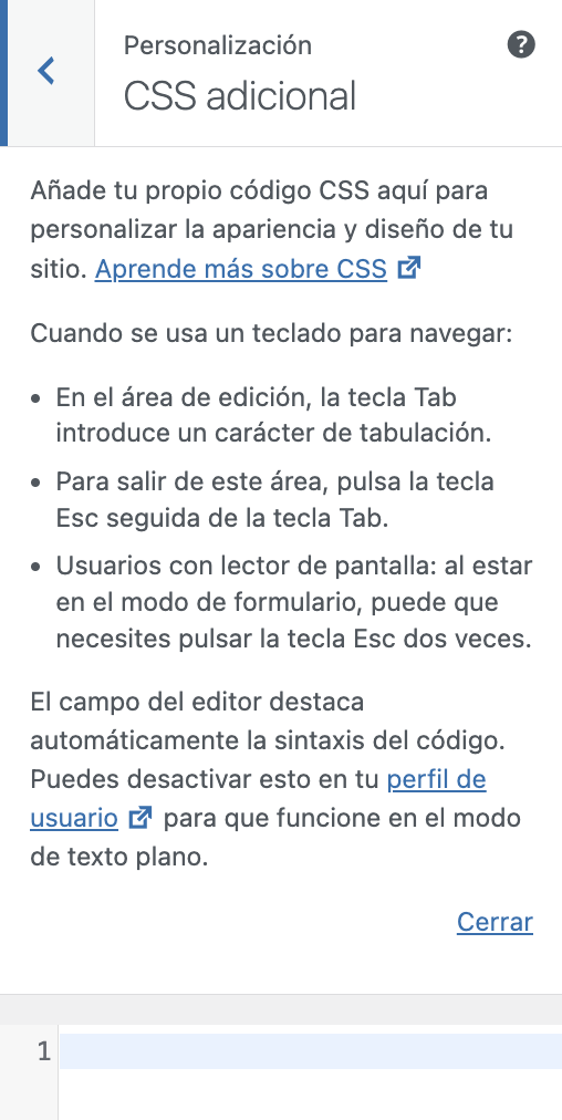 Seccion de personalizacon de CSS adicional en WordPress