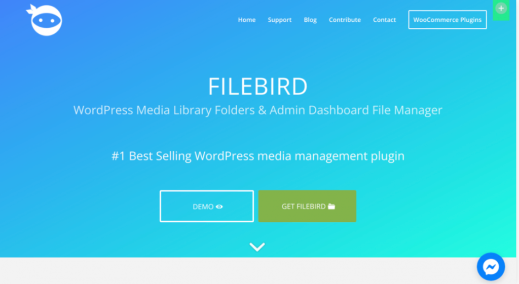 Página de inicio de FileBird