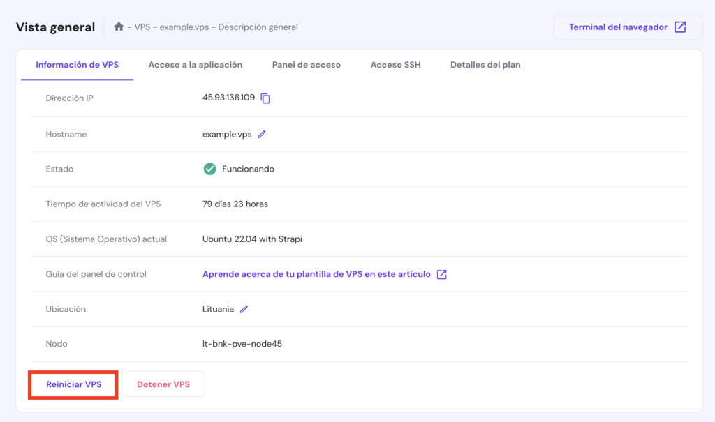 Vista general del VPS en hPanel