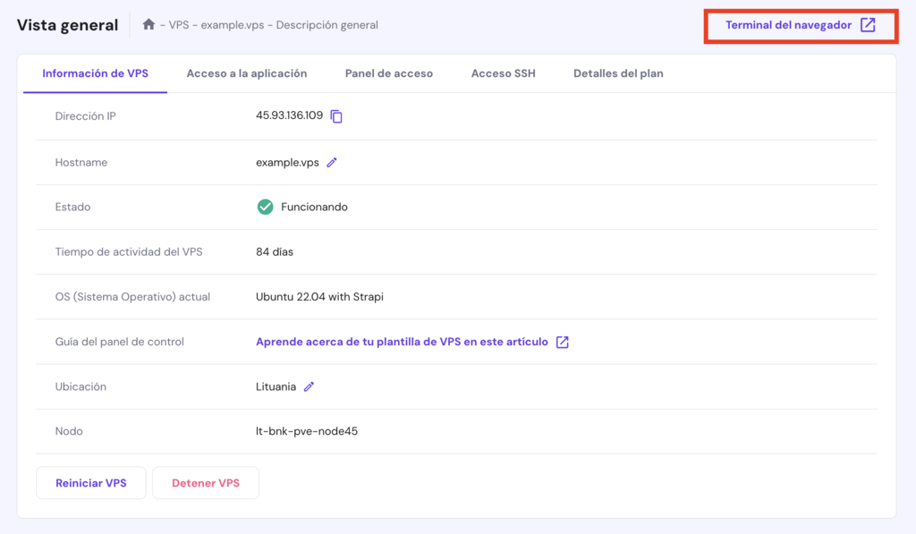 Vista general del VPS en hPanel