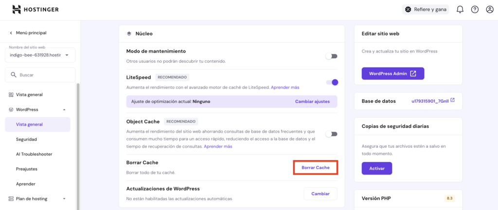 Opción de borrar caché en hPanel