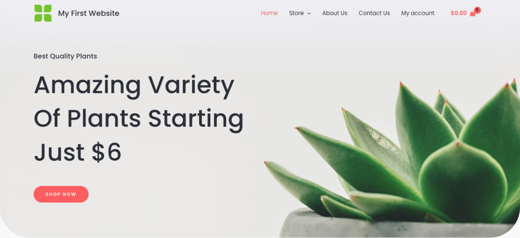 Plantilla Astra para WordPress