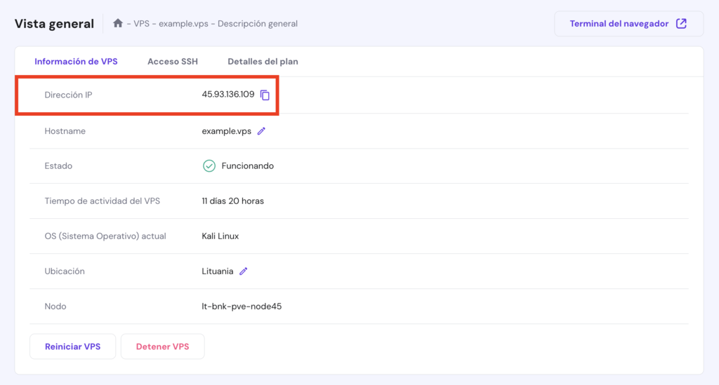 Vista general del VPS en hPanel